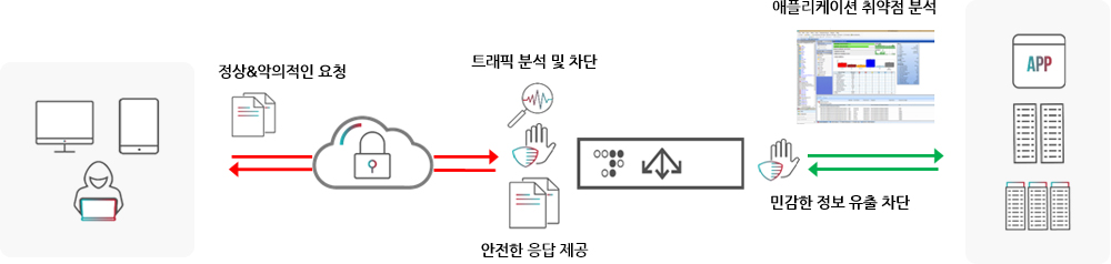 Web Application API Protection